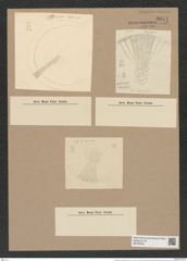 Stictodiscus hardmannianus Grev. (de-Toni-Nr.: Genus 205, Species 5224) Zeichnungen Sammlung Grunow Nr. 9014 (NHMW-BOT-W0378724)